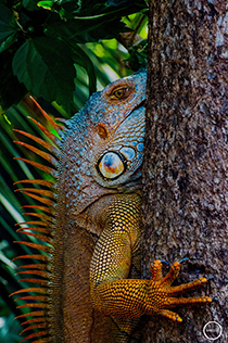 La mirada silenciosa de la naturaleza