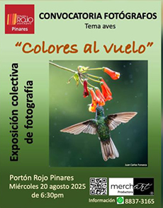 Convocatoria fotógrafos: Colores al vuelo