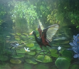 Jacana